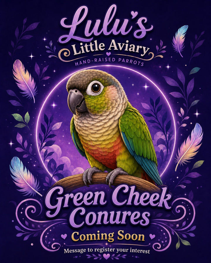 Conures